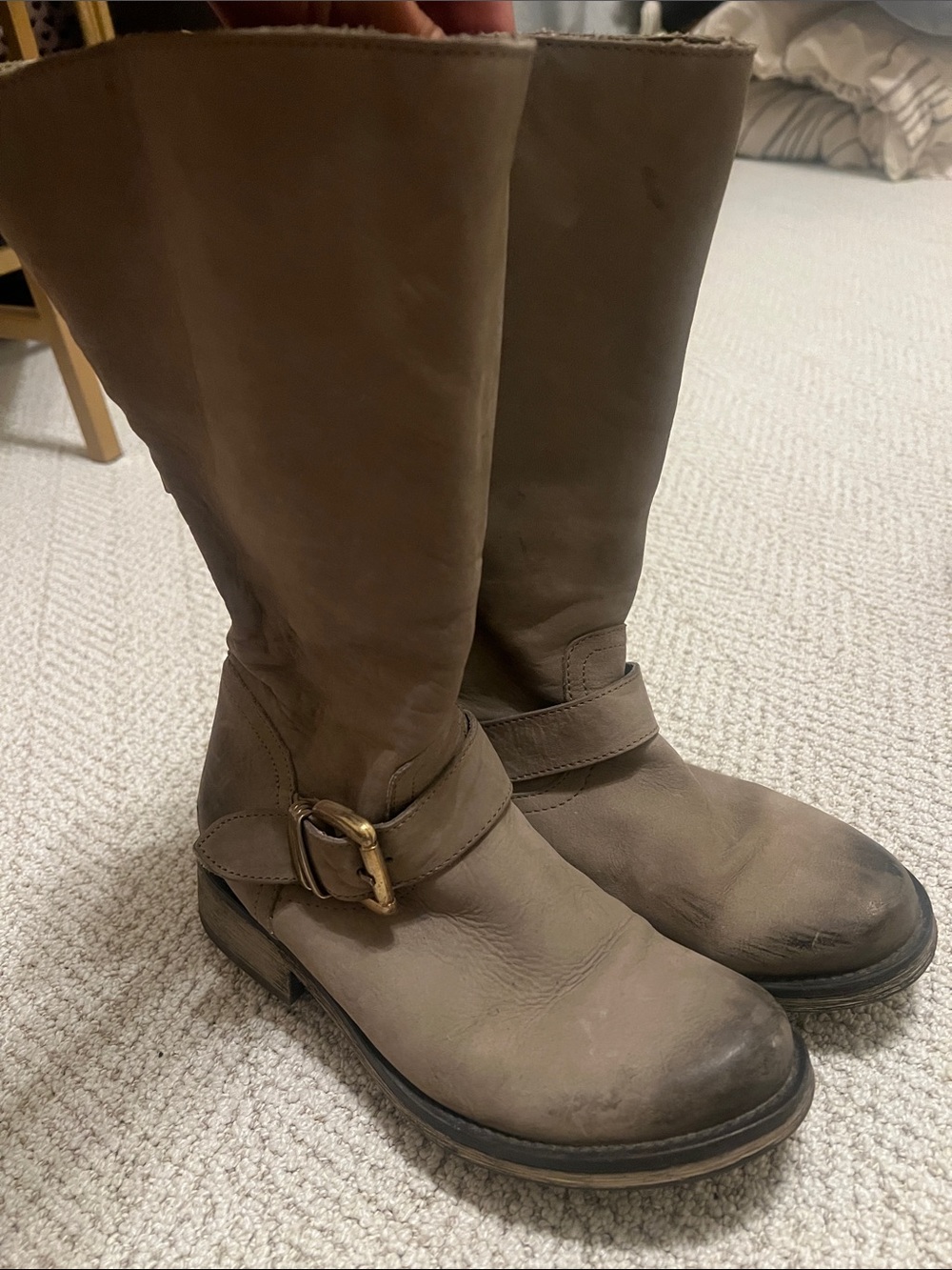 Steve Madden Women's Tall Buckle Leather Riding Boots with purple zipper - Brown
